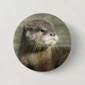 Niedlicher Baby-Otter Button (Vorderseite)