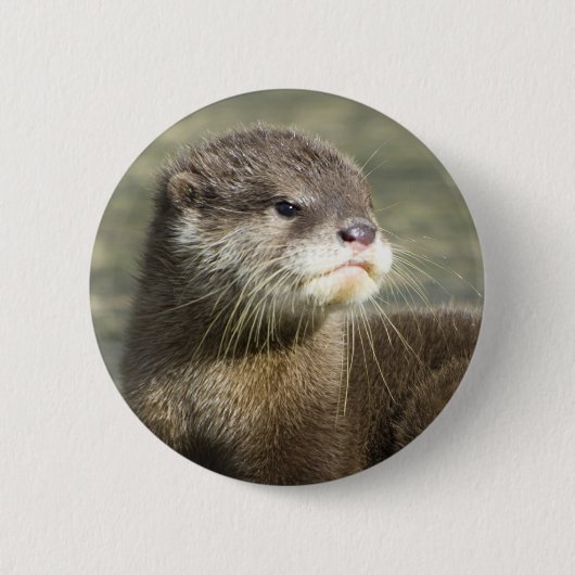 Niedlicher Baby-Otter Button (Vorderseite)