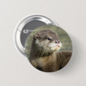 Niedlicher Baby-Otter Button (Vorne & Hinten)