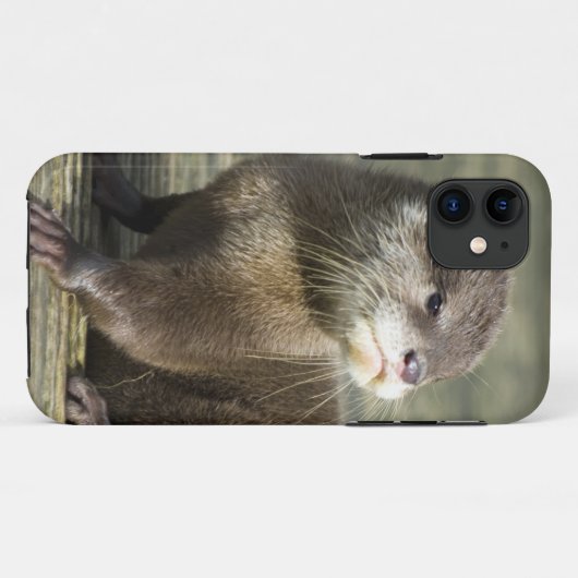 Niedlicher Baby-Otter Case-Mate iPhone Hülle (Rückseite (Horizontal))