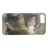 Niedlicher Baby-Otter Case-Mate iPhone Hülle (Rückseite (Horizontal))