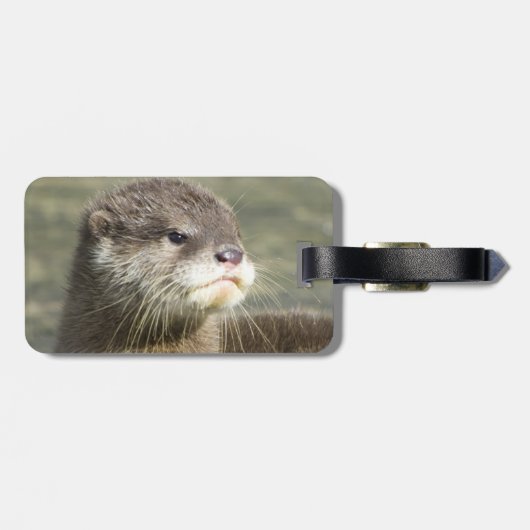 Niedlicher Baby-Otter Gepäckanhänger (Rückseite horizontal)