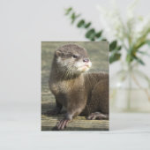 Niedlicher Baby-Otter Postkarte (Stehend Vorderseite)