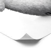 Niedlicher Baby Pinguin mit Augenbrille auf Weiß Poster (Ecke)