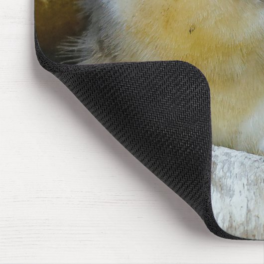 Niedlicher Babybaum Schwalben Blick auf die große  Mousepad (Ecke)