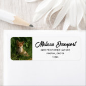 Niedlicher Babyfox in einer grünen Waldadresse (Insitu)