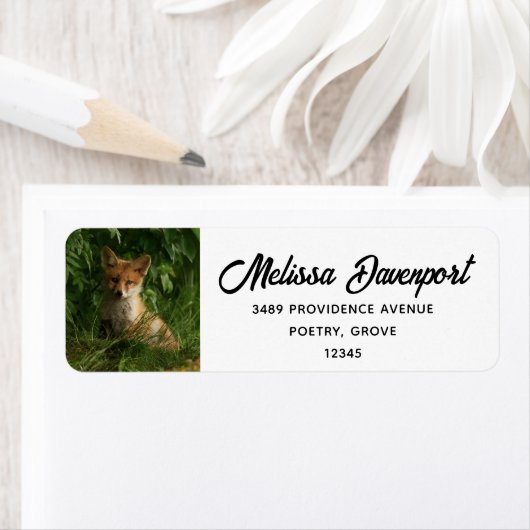 Niedlicher Babyfox in einer grünen Waldadresse (Insitu)