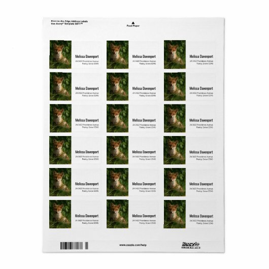 Niedlicher Babyfox in einer grünen Waldadresse Adressaufkleber (Vorne)