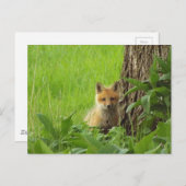 Niedlicher Babyfuchs im Frühjahr Postkarte (Vorne/Hinten)