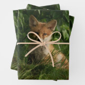 Niedlicher Babyfuchs in einem grünen Wald Geschenkpapier Set (Beispiel)
