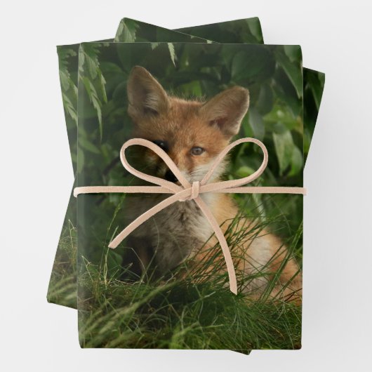 Niedlicher Babyfuchs in einem grünen Wald Geschenkpapier Set (Beispiel)