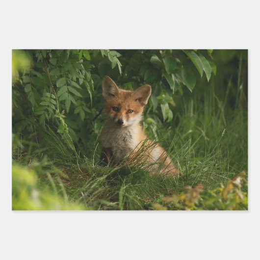Niedlicher Babyfuchs in einem grünen Wald Geschenkpapier Set (Vorderseite)