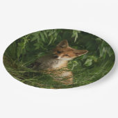 Niedlicher Babyfuchs in einem grünen Wald Pappteller (Schrägansicht)