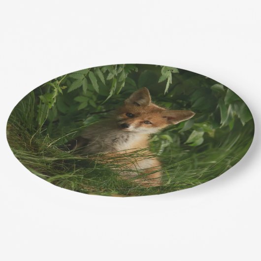 Niedlicher Babyfuchs in einem grünen Wald Pappteller (Schrägansicht)