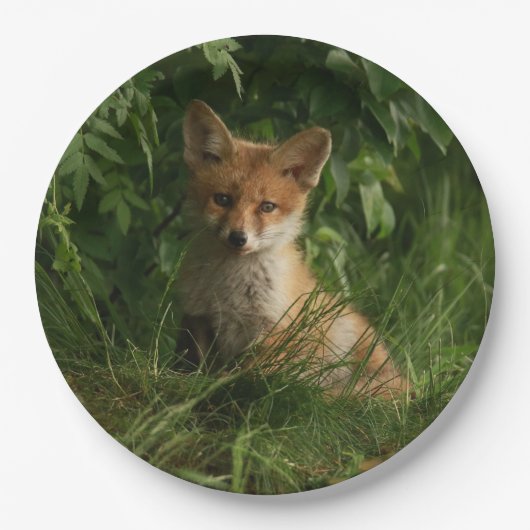 Niedlicher Babyfuchs in einem grünen Wald Pappteller (Vorderseite)