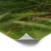 Niedlicher Babyfuchs in einem grünen Wald Poster (Ecke)