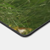 Niedlicher Babyfuchs in einem grünen Wald Schreibtischunterlage (Ecke)