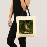 Niedlicher Babyfuchs in einem grünen Wald