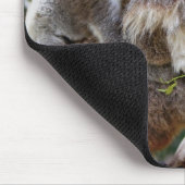 Niedlicher Babykoalabär mit Mamma in einem Baum Mousepad (Ecke)