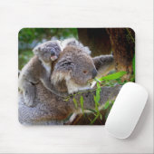 Niedlicher Babykoalabär mit Mamma in einem Baum Mousepad (Mit Mouse)