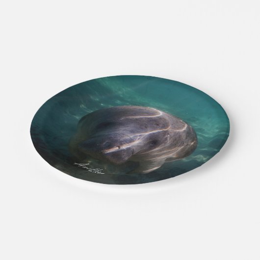 Niedlicher Babymanatis-Papier-Teller Pappteller (Schrägansicht)