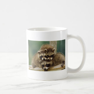 Niedlicher BabyRaccoon Kaffeetasse