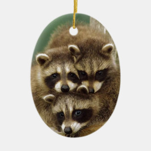 Niedlicher BabyRaccoon Keramikornament