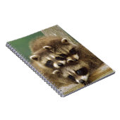 Niedlicher BabyRaccoon Notizblock (Rechte Seite)