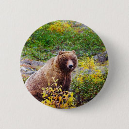 Niedlicher Bär im Wald Woodland Animal Button