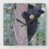 Niedlicher Bärenbaum oder Ihre eigene Foto-Ecke Quadratische Wanduhr (Vorderseite)