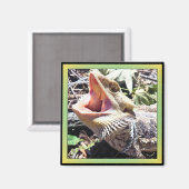 Niedlicher bärtiger Drachengräber - Stille Rebelle Magnet (Vorderseite/Rückseite)