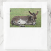 Niedlicher Bartschwanz Rechteckiger Aufkleber (Tasche)