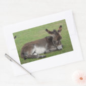 Niedlicher Bartschwanz Rechteckiger Aufkleber (Umschlag)