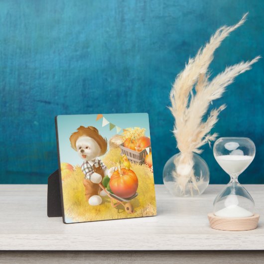 Niedlicher Bauer Hund mit Pumpkin Fotoplatte (InSitu)