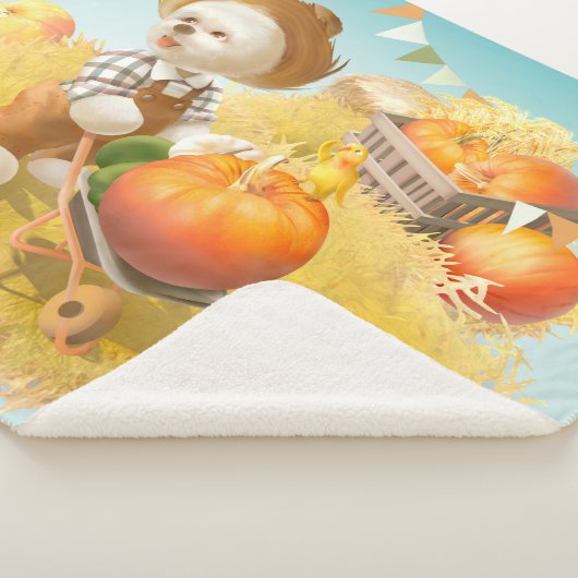 Niedlicher Bauer Hund mit Pumpkin Sherpadecke (3/4)