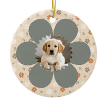 Niedlicher Bauernhof