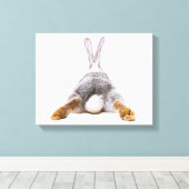 Niedlicher Baumwolle Schwanz Leinwand Mendrisiotto (Insitu (Holzboden))