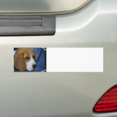 Niedlicher Beagle-Autoaufkleber Autoaufkleber (Auf Auto)