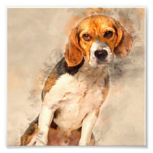 Niedlicher Beagle   Beste Tierdekoration Fotodruck