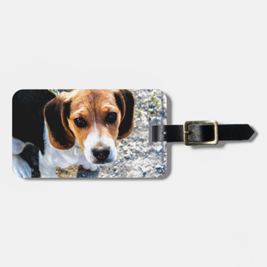 Niedlicher Beagle Gepäckanhänger (Vorderseite horizontal)