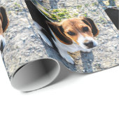 Niedlicher Beagle Geschenkpapier (Rolleneckpunkt)