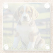 Niedlicher Beagle Glass Untersetzer (Rückseite)