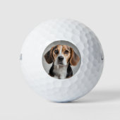 Niedlicher Beagle Golfball (Vorderseite)