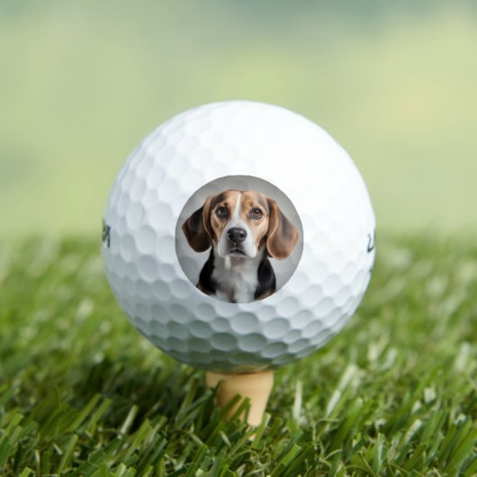 Niedlicher Beagle Golfball (Insitu T-Shirt)