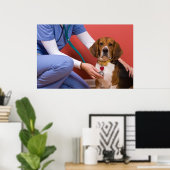 Niedlicher Beagle Hund Erlangung einer tierärztlic Poster (Heimbüro)