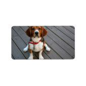 Niedlicher Beagle Hund je Adressaufkleber (Vorne)