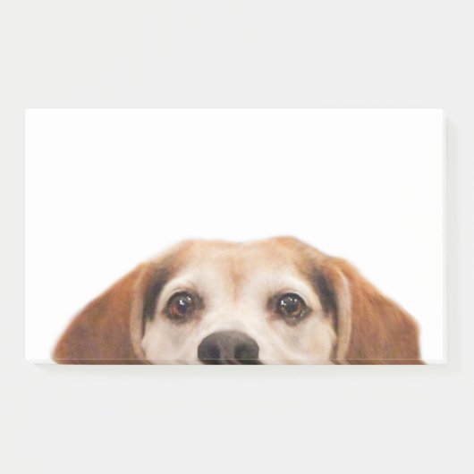 Niedlicher Beagle Hund Moderner Trend Post-it Klebezettel (Vorderseite)