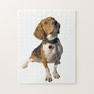 Niedlicher Beagle-Hund Puzzle