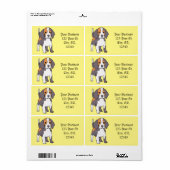 Niedlicher Beagle Hund Rasse Thunder_Cove (Vorne)