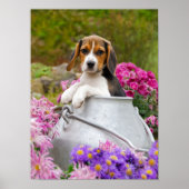 Niedlicher Beagle Hund Welpe in einem Milchturm, e Poster (Vorne)